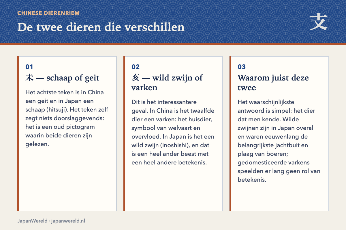 Twee dieren die verschillen Schaap versus geit en wild zwijn versus varken