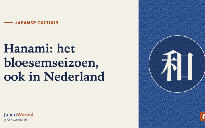Kersenbloesemtakken boven een picknickkleed