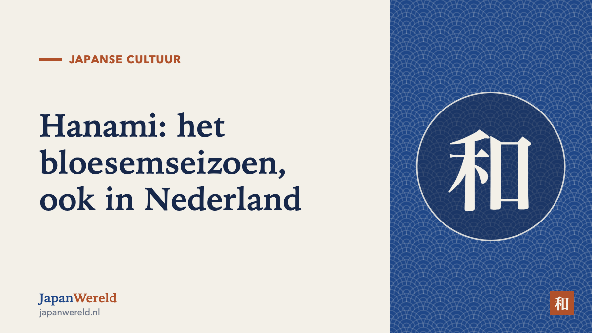 Hanami: het bloesemseizoen Kersenbloesemtakken boven een picknickkleed